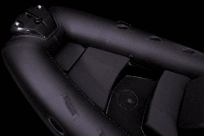 купить Лодка РИБ BRIG EAGLE 5 в Москве - фото 