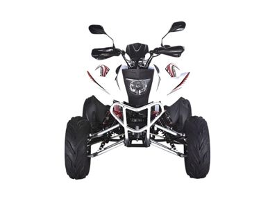 купить Квадроцикл RATO RТ250SТ-2 в Москве - фото 