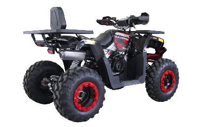 купить Квадроцикл HUNTER 250 в Москве - фото 