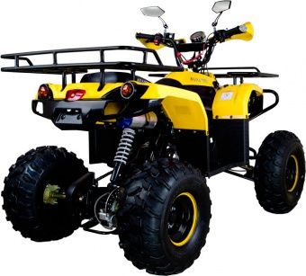 купить Квадроцикл AVANTIS Patriot M в Москве - фото 