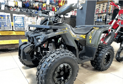 купить Квадроцикл YAMAHA Shark 175 в Москве - фото 