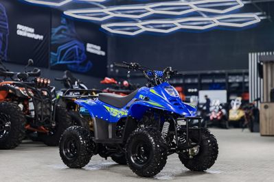 купить Квадроцикл TIGER 150 Universal RX в Москве - фото 