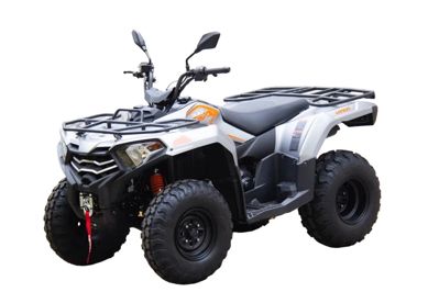 купить Квадроцикл LONCIN TRV350 Pro 22 в Москве - фото 