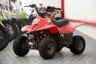 купить Квадроцикл IRBIS Dingo 50s в Москве - фото 