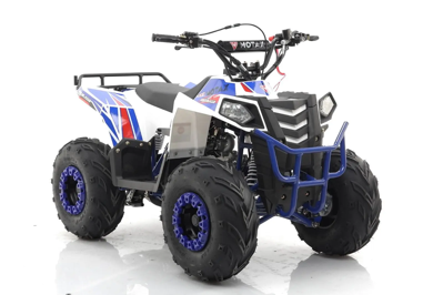 купить Квадроцикл MOTAX Grizlik A110 в Москве - фото 