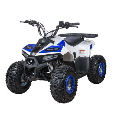 купить Квадроцикл YACOTA Raposa в Москве - фото 