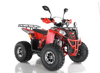 купить Квадроцикл WELS Thunder EVO X в Москве - фото 