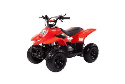 Квадроцикл IRBIS Dingo 50s в Москве