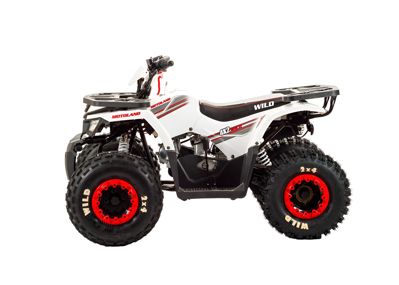 купить Квадроцикл MOTOLAND 125 Wild в Москве - фото 