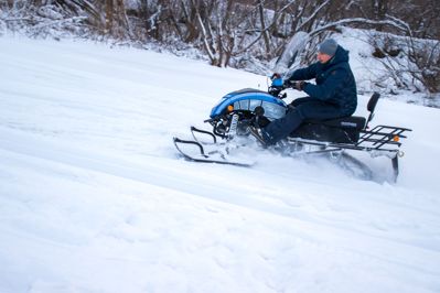 купить Снегоход SHARMAX SN-210 Forester Classic в Москве - фото 