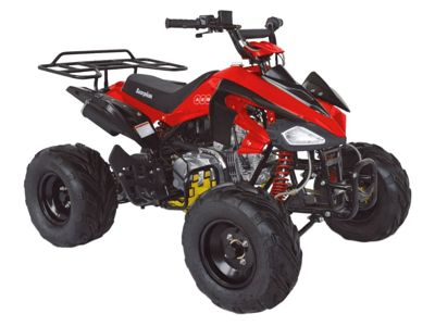 купить Квадроцикл ABM Scorpion 125A в Москве - фото 