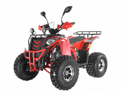 Квадроцикл WELS Thunder EVO LUX X 125 в Москве