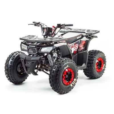 Квадроцикл MOTOLAND Wild 150 в Москве