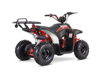 купить Квадроцикл SHARMAX 130 Cross в Москве - фото 