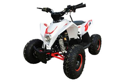 Квадроцикл MOTAX Gekkon 90cc в Москве