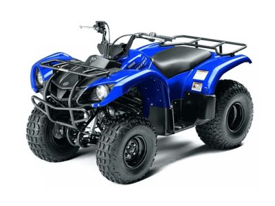 купить Квадроцикл GRIZZLY 125 в Москве - фото 