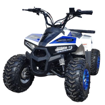 купить Квадроцикл YACOTA Raposa в Москве - фото 