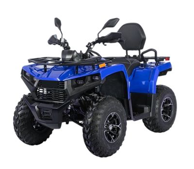 купить Квадроцикл BIZON YK250 Lux EFI в Москве - фото 