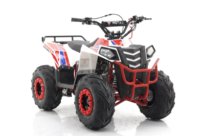 купить Квадроцикл MOTAX Grizlik A110 в Москве - фото 