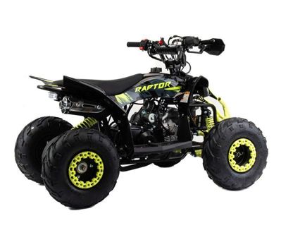 купить Квадроцикл MOTOLAND Raptor 110 в Москве - фото 