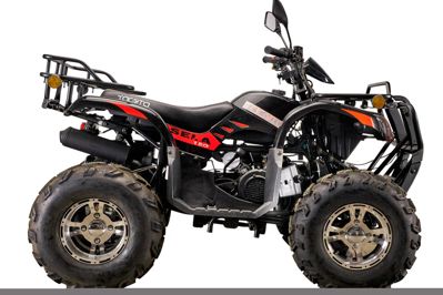 купить Квадроцикл YACOTA Sela Lux 150 LD в Москве - фото 