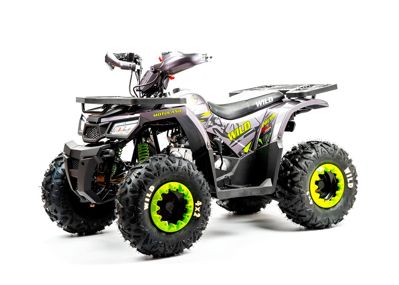 купить Квадроцикл MOTOLAND Wild Basic 125 в Москве - фото 