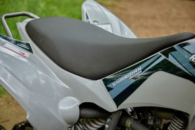 купить Квадроцикл SHARMAX Raizer Race Cup 250 в Москве - фото 