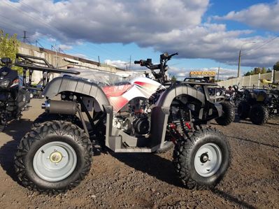 купить Квадроцикл YACOTA Sela 150 в Москве - фото 