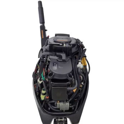 купить 4х-тактный лодочный мотор PARSUN F9.9ABMS-EFI в Москве - фото 