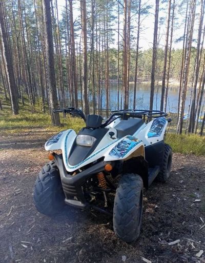 купить Квадроцикл BALTMOTORS Jam 100 (2022) Б/У в Москве - фото 