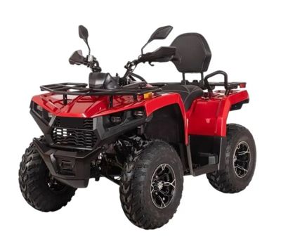 Квадроцикл Bizon YK250 Basic Carb в Москве