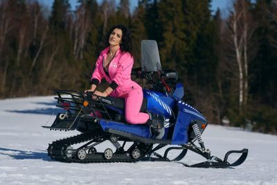 купить Снегоход SHARMAX Landcrafter Max SN-240 в Москве - фото 