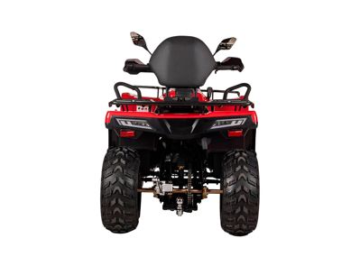 купить Квадроцикл BIZON YK200 Basic Carb в Москве - фото 