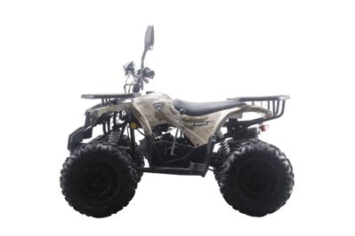 купить Квадроцикл MOTAX ATV Grizlik Premium 125cc в Москве - фото 