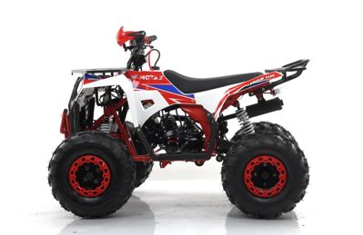 купить Квадроцикл MOTAX Grizlik A125 в Москве - фото 