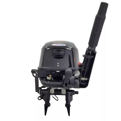 купить 4х-тактный лодочный мотор PARSUN F9.9ABMS-EFI в Москве - фото 