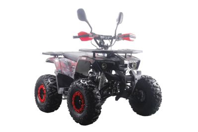 купить Квадроцикл MOTAX ATV Grizlik Premium 125cc в Москве - фото 