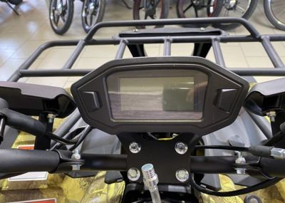 купить Квадроцикл YACOTA Sela 200 в Москве - фото 