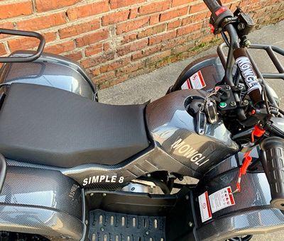 купить Квадроцикл MOWGLI Simple 8+ в Москве - фото 