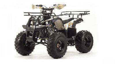 купить Квадроцикл MOTOLAND 125 Fox в Москве - фото 