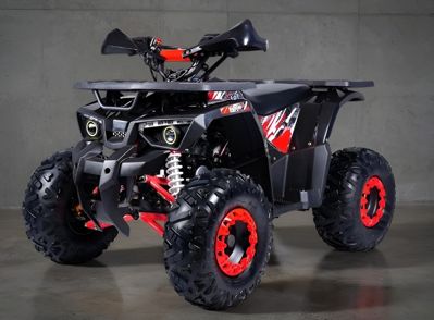 Квадроцикл ГЛАДИАТОР H125 Lux в Москве