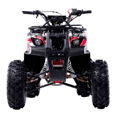 купить Квадроцикл WELS Thunder 125 Basic в Москве - фото 