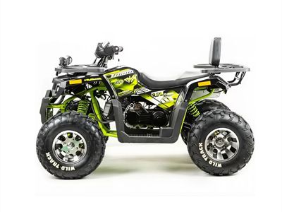 купить Квадроцикл MOTOLAND 200 Wild Track Pro в Москве - фото 