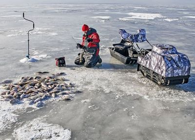 купить Мотобуксировщик BALTMOTORS Snowdog Standard Z15 в Москве - фото 