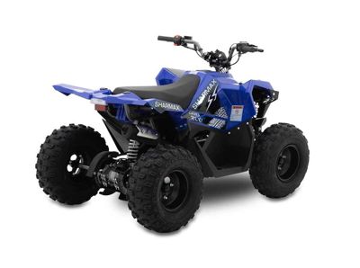 купить Квадроцикл SHARMAX Cross 200 (2024) в Москве - фото 