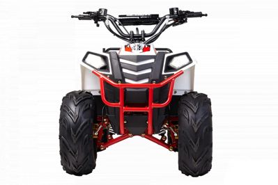 купить Квадроцикл WELS Thunder EVO M детский в Москве - фото 