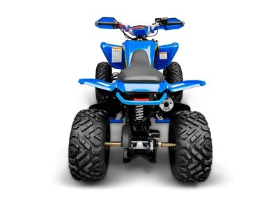 купить Квадроцикл RACER Typhoon 250 в Москве - фото 