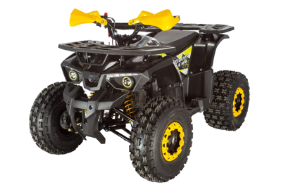 купить Квадроцикл AVANTIS Classic 8 New в Москве - фото 