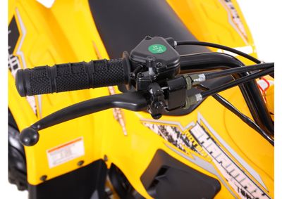 купить Квадроцикл SHARMAX 130 Cross в Москве - фото 