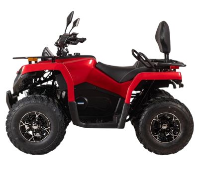 купить Квадроцикл BIZON YK250 Lux EFI в Москве - фото 